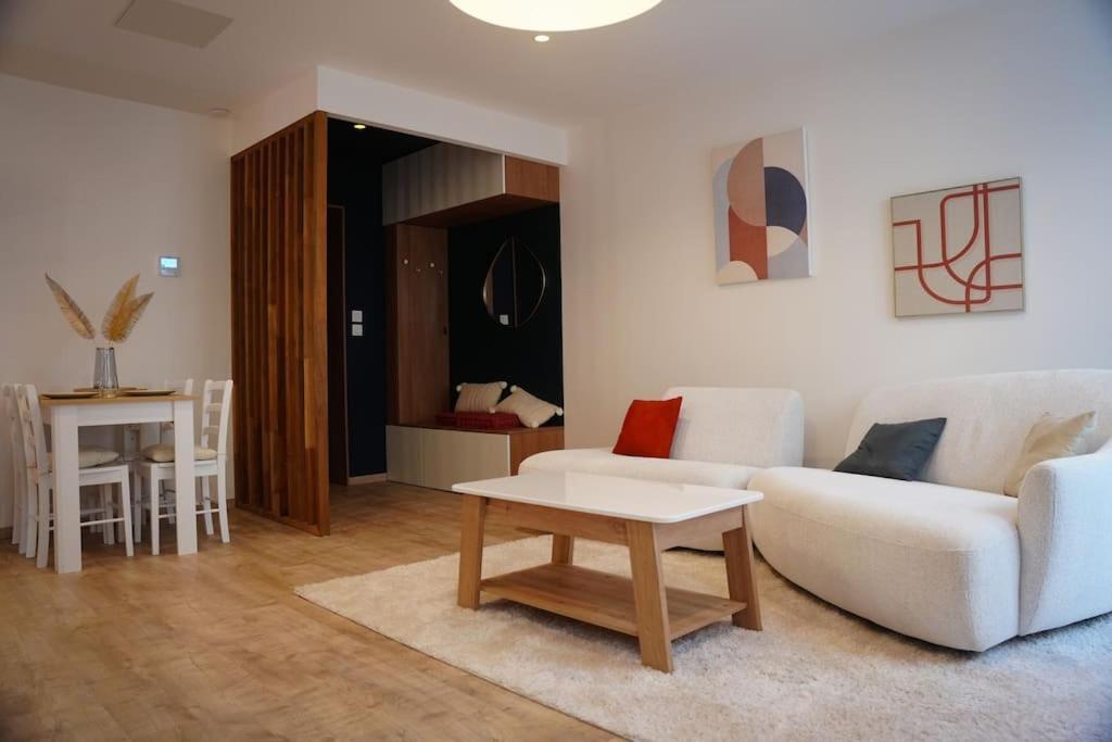 Bel Appartement Centre-Ville แซงต์-เอเตียน ภายนอก รูปภาพ